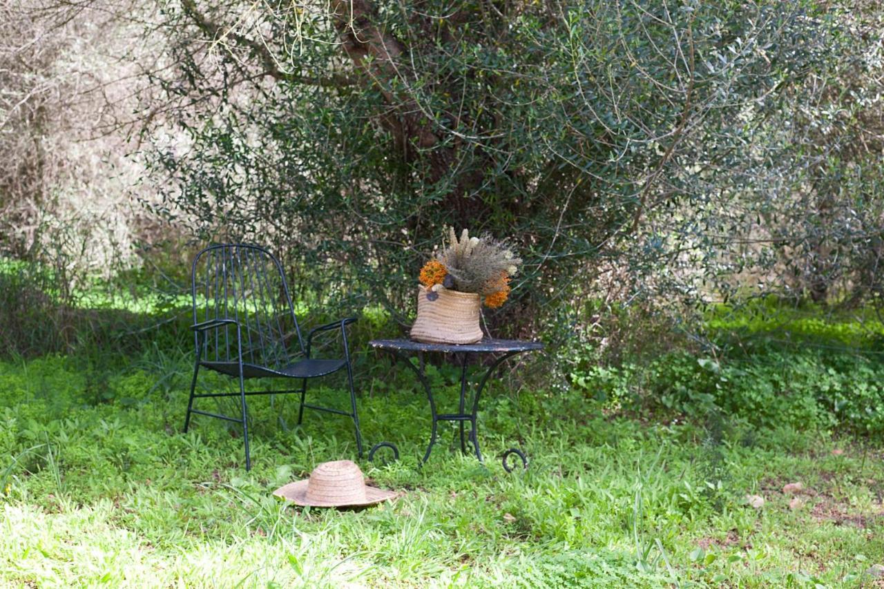 Finca Son Sureda Agroturismo Manacor  Zewnętrze zdjęcie